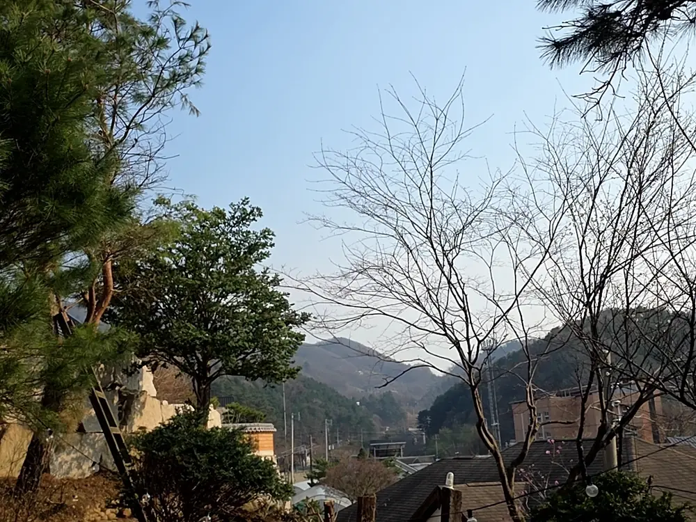 벌채 작업