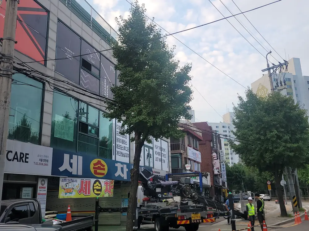 수목 철거 작업 전