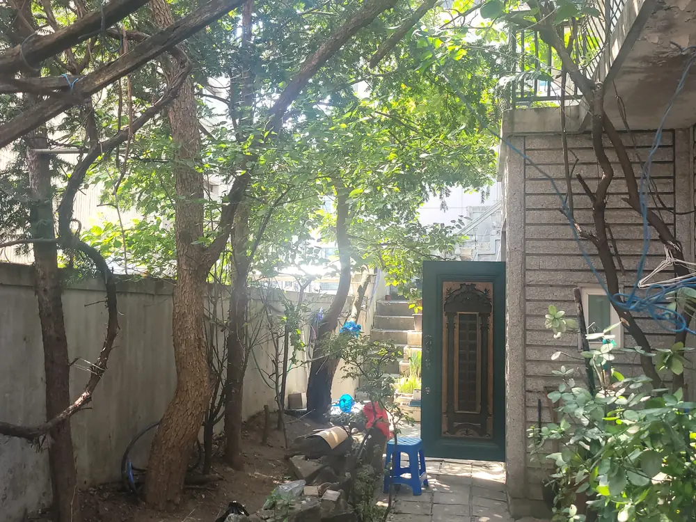 임야 벌채 작업 전