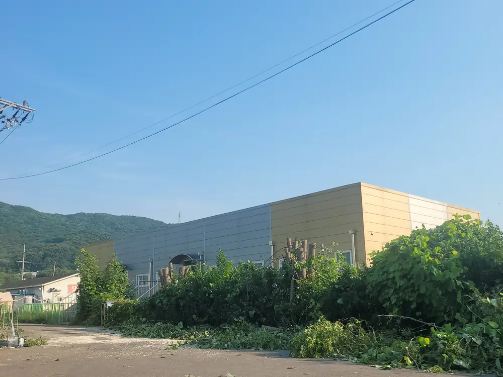 벌목작업 시공 현장
