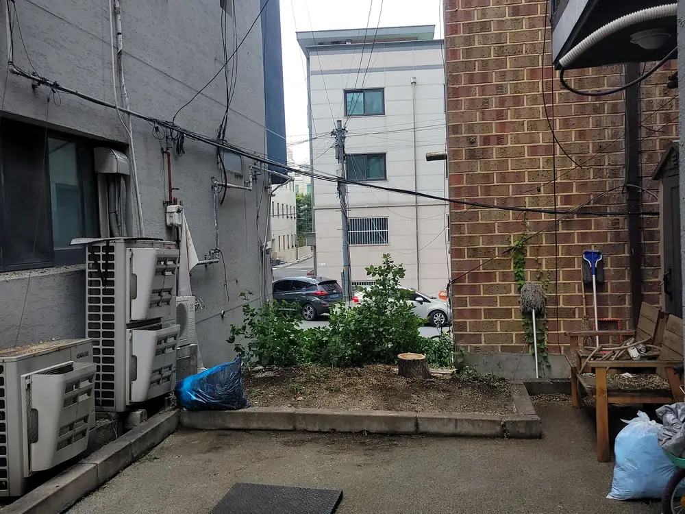 벌목작업 시공 현장