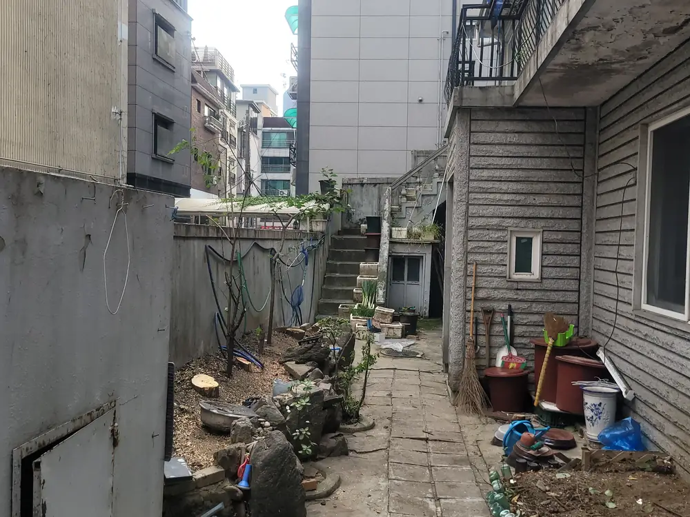 벌목작업 시공 현장