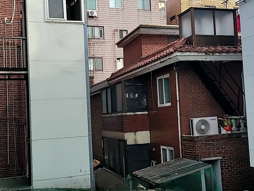 벌목작업 시공 현장