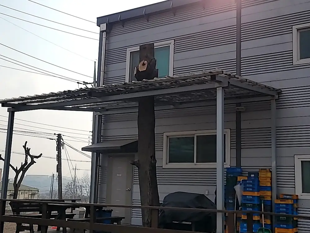 벌목작업 시공 현장