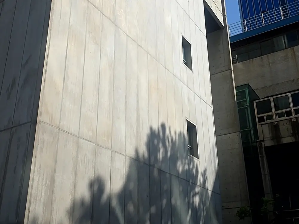 벌목작업 시공 현장